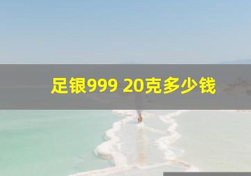 足银999 20克多少钱